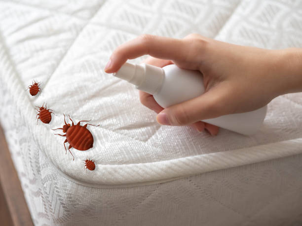 Best Pest Control for Multi-Family Homes  in Spring Valley, IL